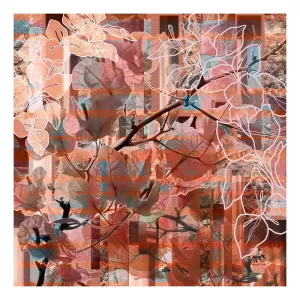 Apricity Silk Cotton Scarf